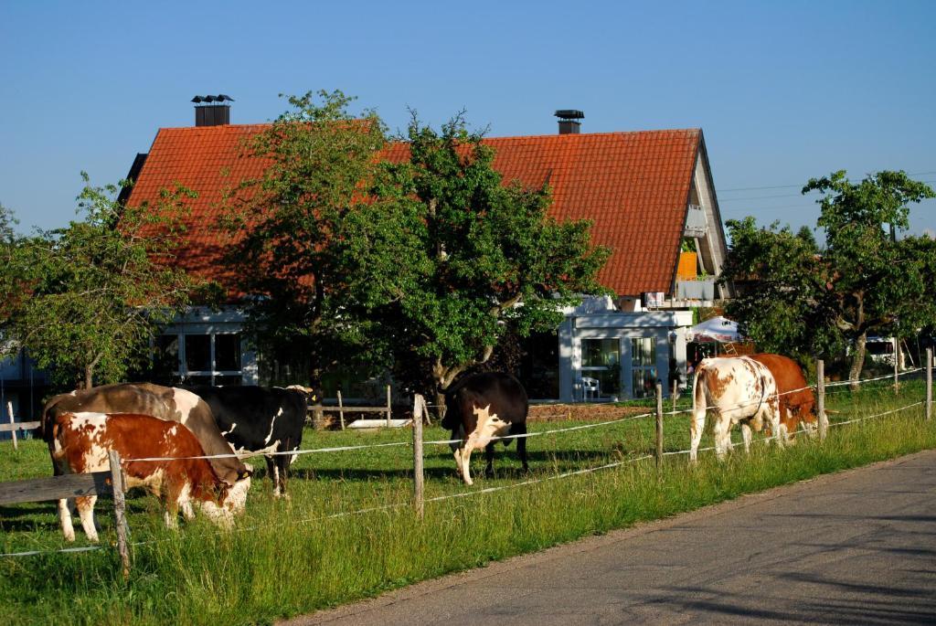 Wellnesshotel Schiesselhof Grafenhausen Cameră foto