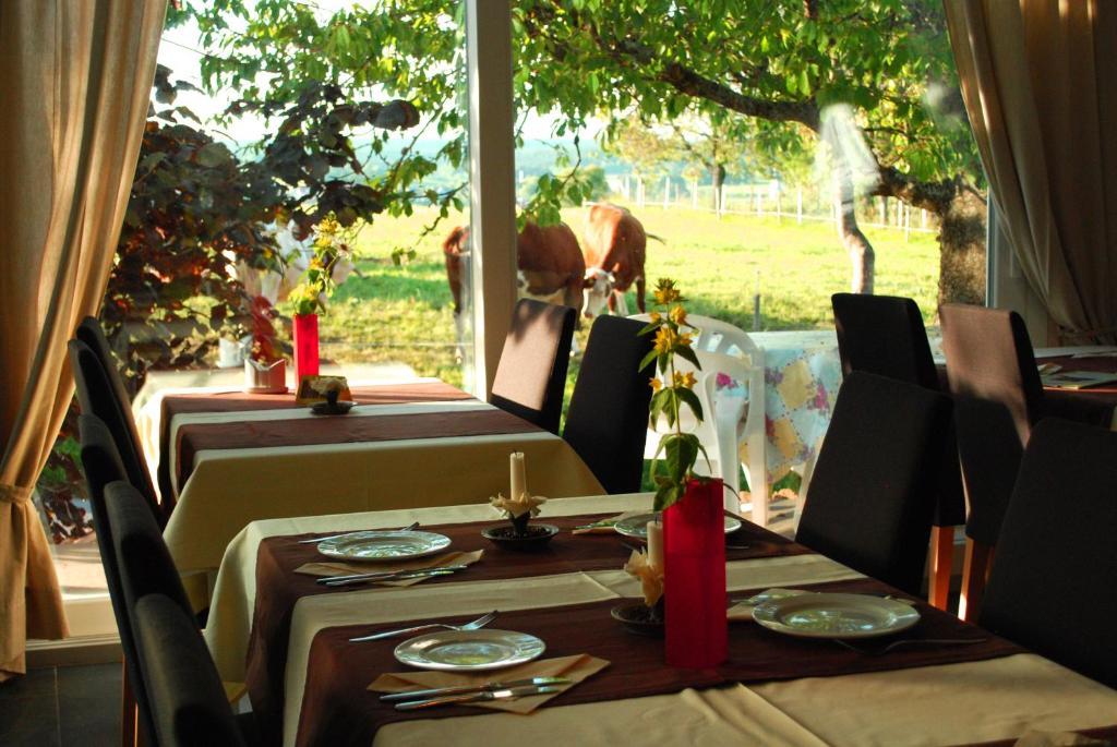 Wellnesshotel Schiesselhof Grafenhausen Cameră foto